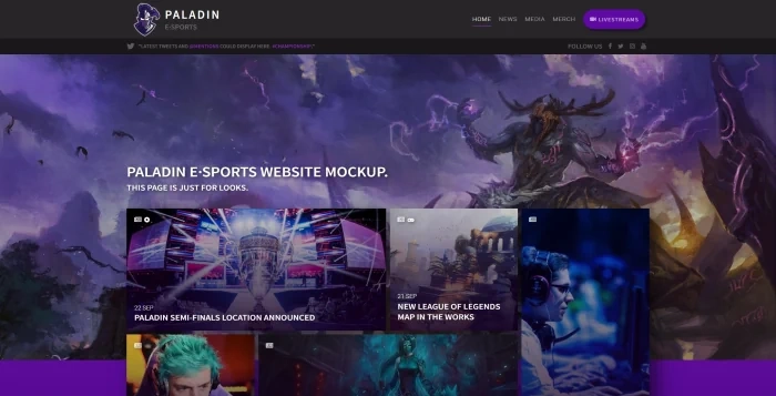 E-Sports Page Website Thumbnail